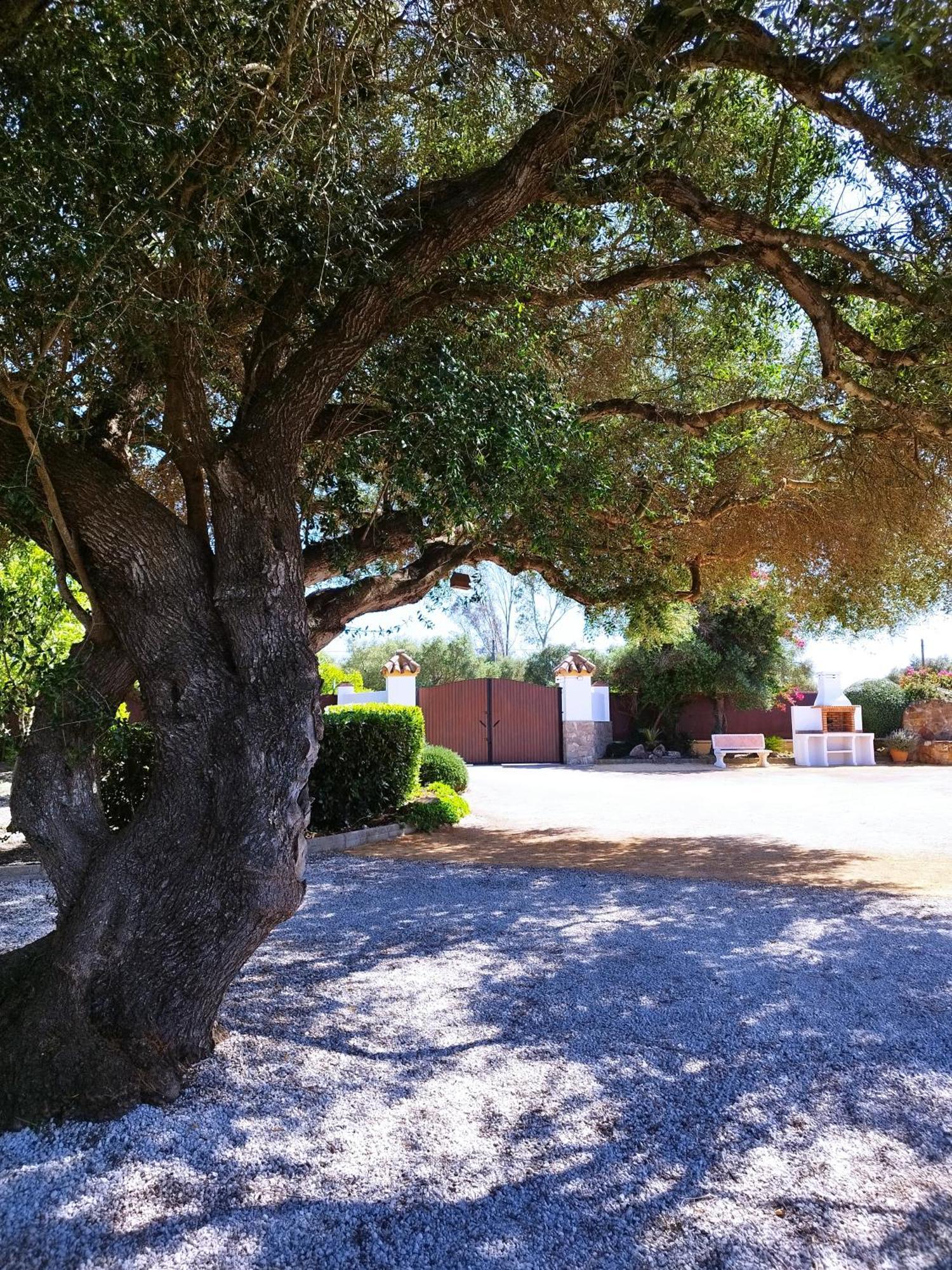 Vivienda Rural Los Madronos Malcocinado  Екстер'єр фото